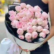 Dolinaroz - фото 3