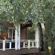 Елки иголки - фото 3