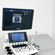 Золотое сечение - фото 6