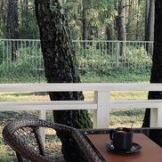 Елки иголки - фото 4