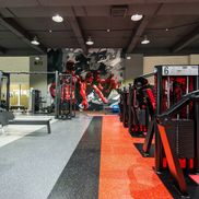 Мандарин - фото 3