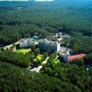 Сосновый бор - фото 2