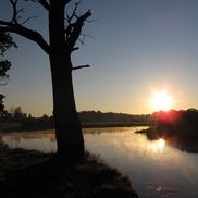 Птичь - фото 4