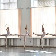 Вежновец - фото 2