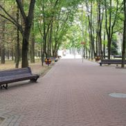 Парк Челюскинцев - фото 5