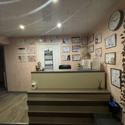 Феникс - фото 1