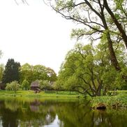 Вязынка - фото 3