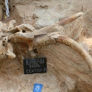 Стоянка первобытных людей - фото 3