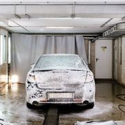 Сивый мерин - фото 2