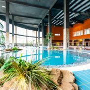 Мандарин - фото 5