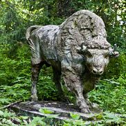 Совейки - фото 3