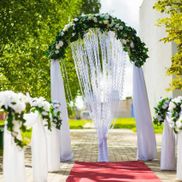 Пралеска - фото 4