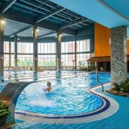 Мандарин - фото 5