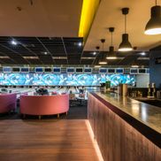 Expobel - фото 4