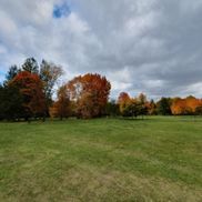 Лошицкий парк - фото 3