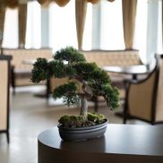 Амстердам - фото 3