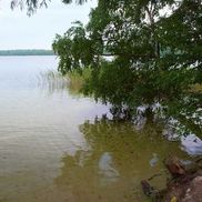 Свитязь - фото 2