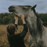 Двор Старинки - фото 5