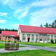 Чайка - фото 5