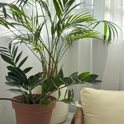 Svetlana Kulesho Beauty Studio - фото 6