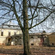 Дворец Валовичей - фото 3