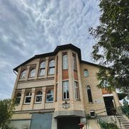 Кинония - фото 6