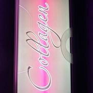 Хамелеон - фото 4