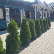 Городок - фото 5