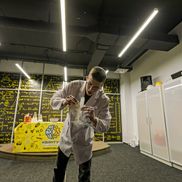 Квантум - фото 3