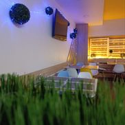 Авокадо - фото 4