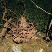 Детский музей мифологии и леса - фото 3