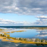 Снуды - фото 2