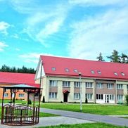 Чайка - фото 1