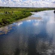 Птичь - фото 1