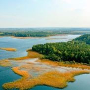 Снуды - фото 1