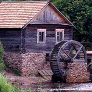 Полесский радиационно-экологический заповедник - фото 1