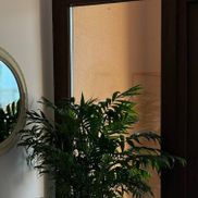 Tori Lozovaya Women's Studio