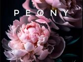 Студия маникюрa Peony - фото