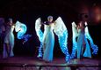Цирк шапито «SIRIUS» с программой «Тайна Планеты Обезьян» 7