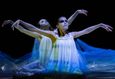 Опера-балет «Виллисы. Фатум» 4