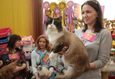 Международная выставка кошек «Летний саммит кошек 2025»‎ 3