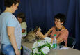 Международная выставка кошек «Мартовские котосмотрины 2024» 8