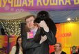 Международная выставка кошек «Эта рыжая кошка — осень» 9