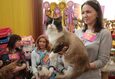Международная выставка кошек «Мартовские котосмотрины 2025» 3