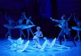 Балет «Дон Кихот» 8