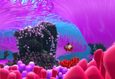 Русалочка и морской монстр 2