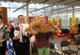 Международная выставка кошек «Мартовские котосмотрины 2024» 17
