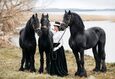 Скидка 10% на проживание в «Общинном доме» и «Мещанском доме» с трехразовым питанием, сауной, экскурсией 3