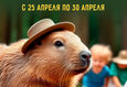 Акция «Два парка по цене одного» 2