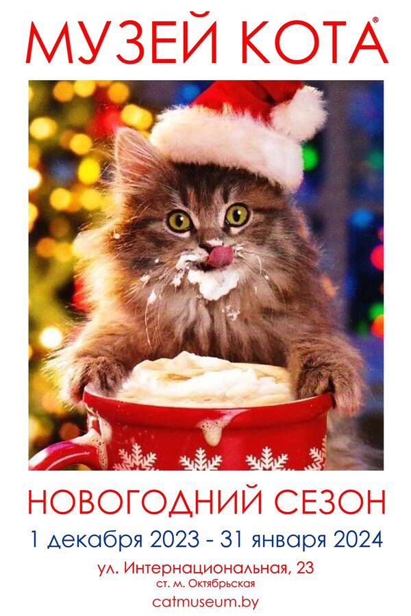 Новогодний Сезон в Музее Кота